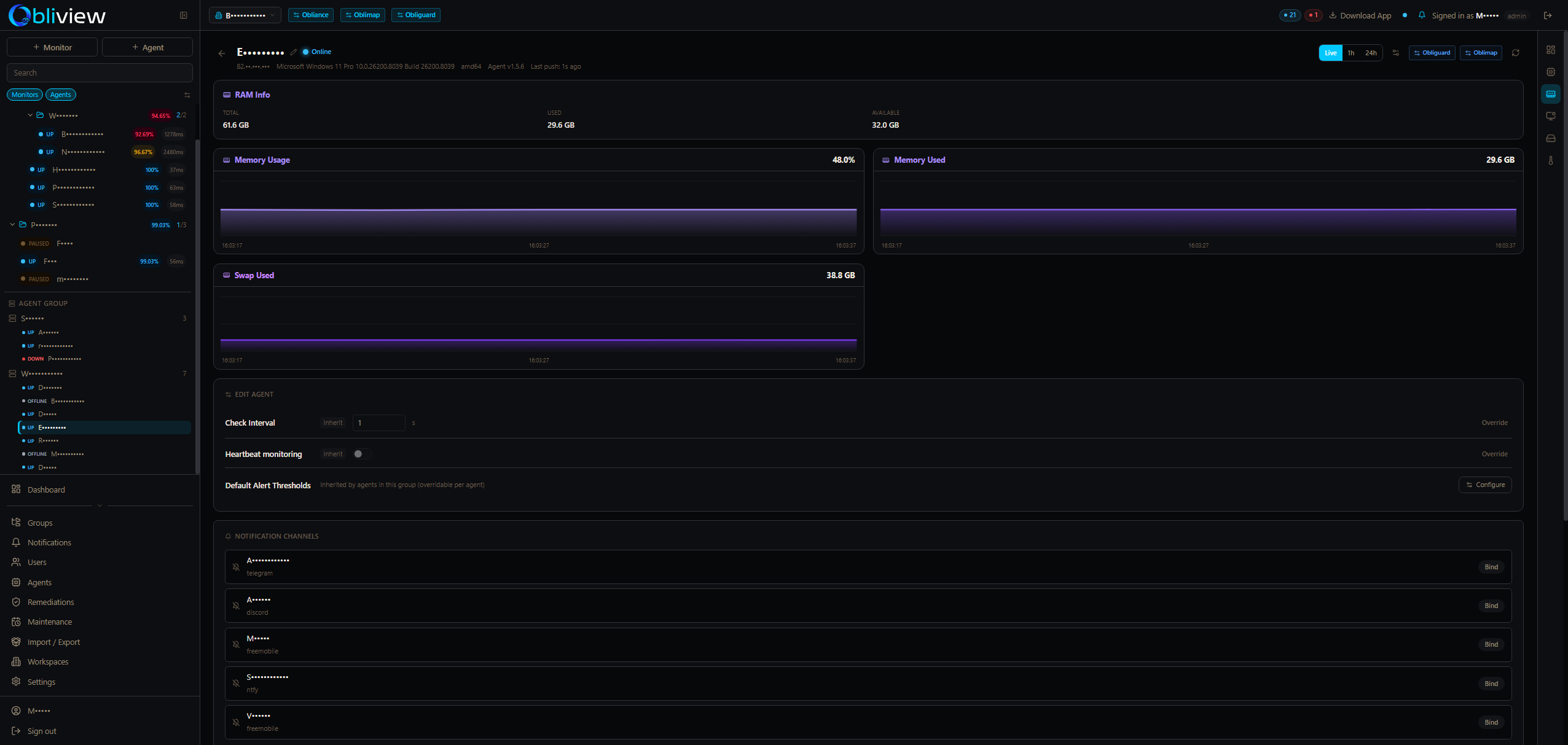 Agent RAM metrics — memory usage and swap